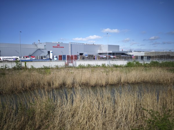 2025_0420 倫敦馬拉松順遊西歐 D2d(往鹿特丹鐵路沿線景觀)2786144