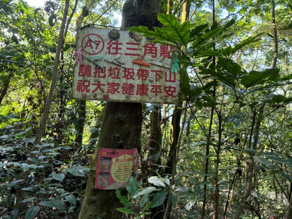 屏東縣來義鄉小百岳NO.78棚集山(3-6646)、下棚集山（A上B下)2335175