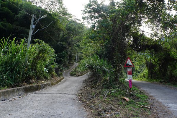 台中 和平 雪山坑山2925057