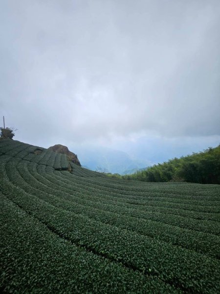 20260921 樟湖生態國小登後棟仔山挑筍古道上大、二尖山3121212