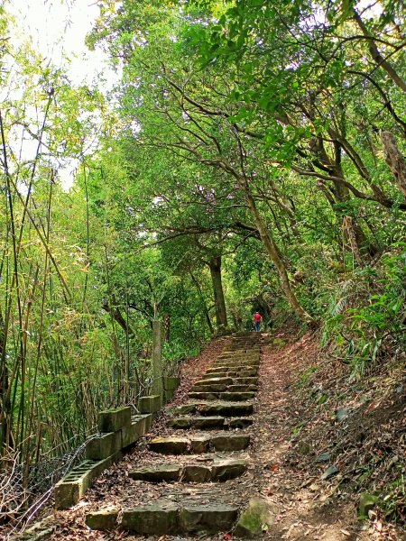 陽明醫院舊址、陽明山前山公園、紗帽山步道、紗帽路、臺北市教師研習中心【走遍陽明山】2121942