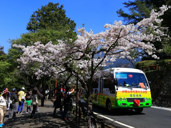 【新聞】一日乘車券 周遊阿里山