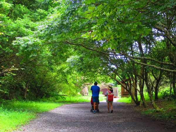 【宜蘭礁溪】清涼一夏：林美石磐步道389864