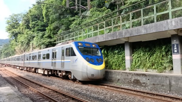 平溪區碩仁里-幼坑古道-幼坑山-幼坑山南鞍-大平林山-番子坑生態園區-番子坑3086142