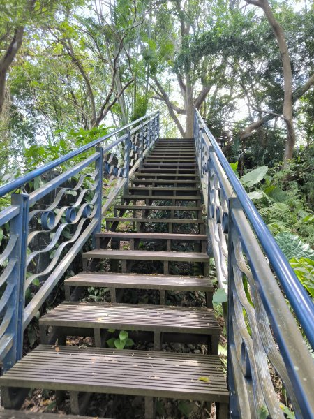 20250917微笑山線：【二格山系】和美山螢火蟲段2888885