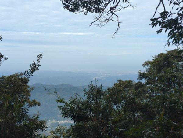 2025.01.18－仙山步道2706104