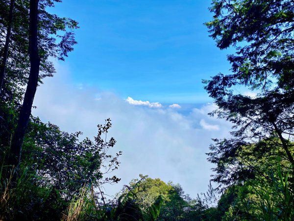 大雪山避暑順登橫嶺山（2人獨享的雲霧森林）  2021/7/151425642