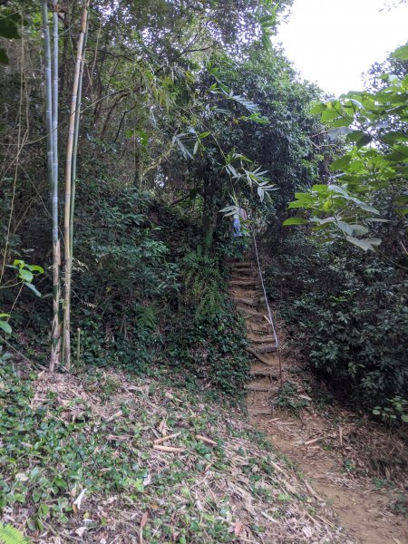 【高雄-小百岳】觀音山_稜線連峰O型縱走796541