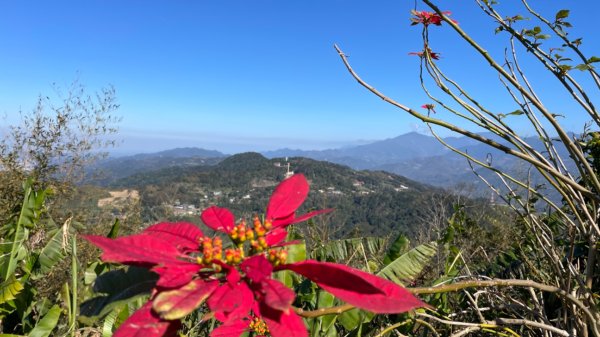 樟之細路-聖關段2686809