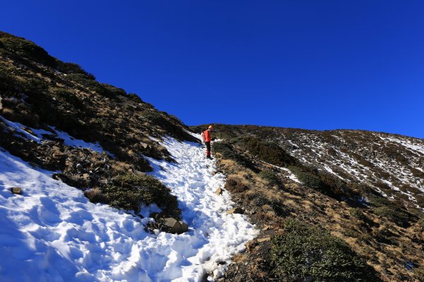 雪山‧甘木林山1250030