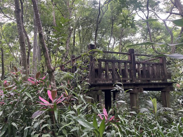 [微笑山線_第五段] 2025_0705 天上山系_國旗嶺2830070