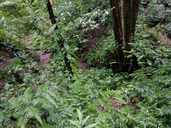 平溪區平溪子山遇雷雨O型2850161
