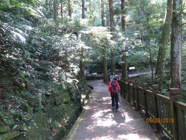 優質漂亮的東滿步道392638