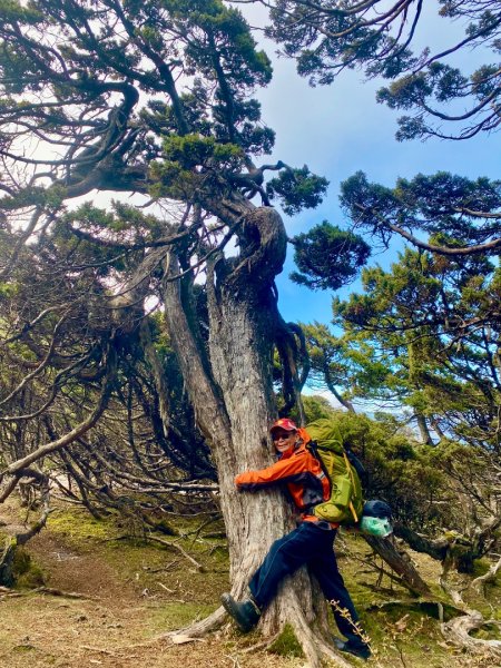 啟動高山度假模式~金牌三小隊之馬博橫斷8日2964940