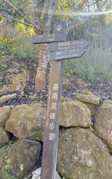 九穹神木 左訪嘉南雲峰 右到好望角看風景上石壁山(小百岳#55)2944840