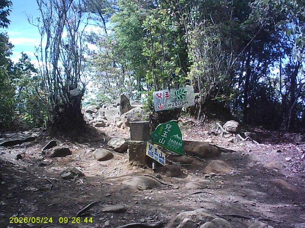 兒玉(自忠)山、東水山、東水山西峰及特富野古道O繞。3061789