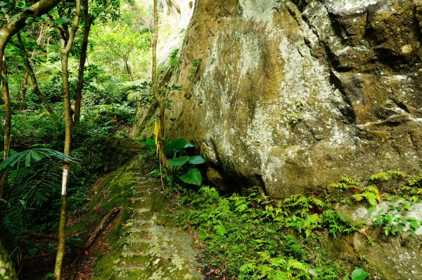 新北 平溪 石燭尖、九龍山、無名尖、中埔崙3099243