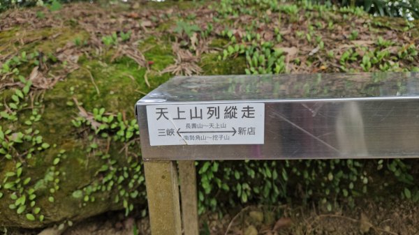 圓通寺烘爐地登山步道大O走3007002