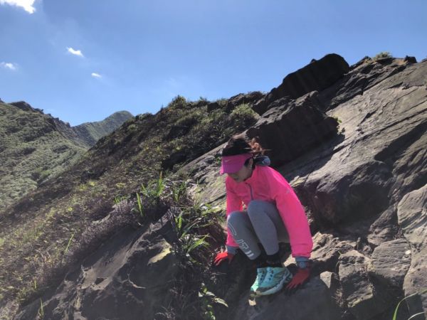 1070311 黃金五稜-劍龍嶺285359