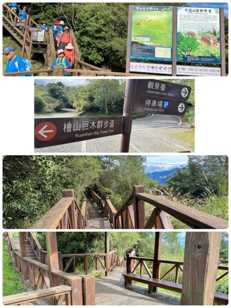 觀霧-檜山巨木群步道2925541