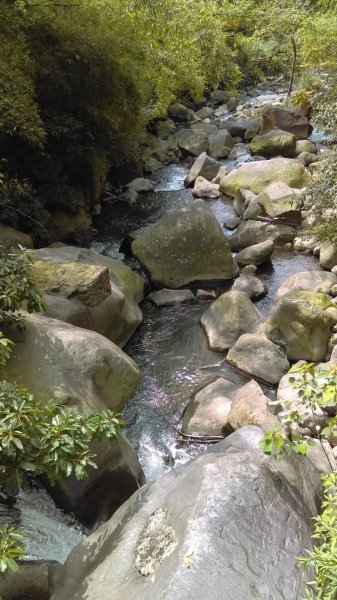 溪水潺涓的半嶺水圳步道、硫氣氤氳的龍鳳谷890884