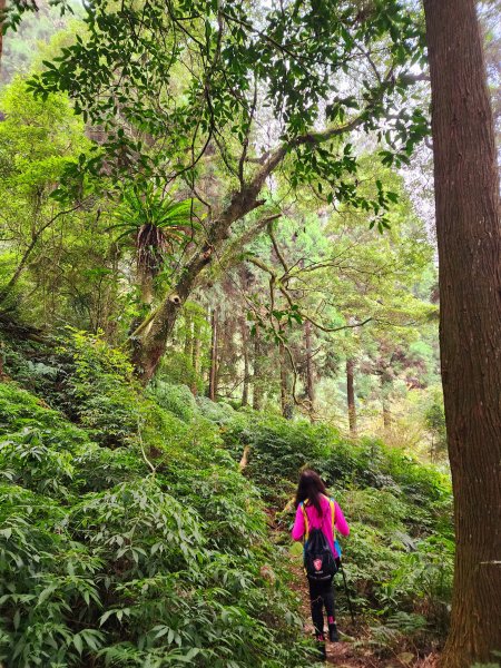 小百岳集起來-鳳凰山2183155