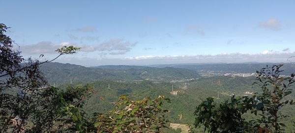 20221105_赤柯山+赤柯山南峰+東獅頭山 O型1899661