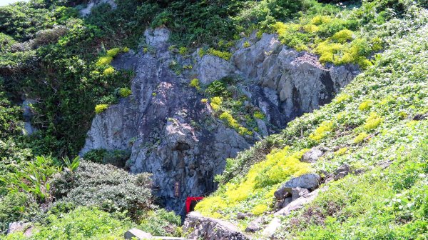 110.0512 基隆嶼登島登塔繞島三合一1385434