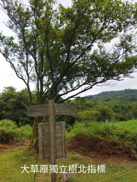 鹿堀坪越嶺古道-大草原-大尖池-大尖山-鹿堀坪古道O行1771802