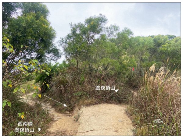 塗崁頂山、西南峰、心形公路、嶺頂步道 連走2971790