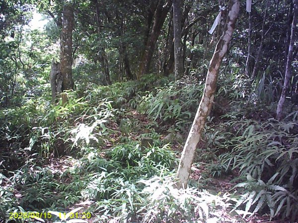 我音四連峰縱走3109042