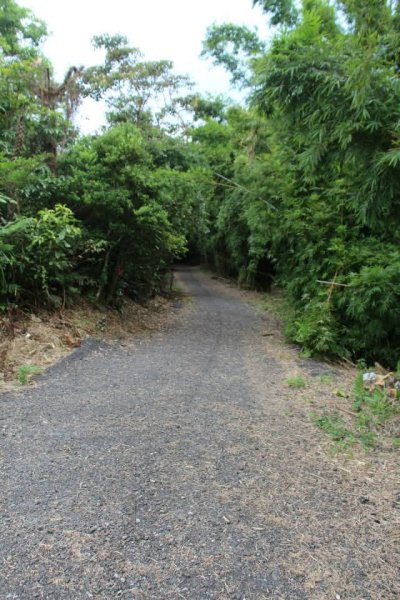1040729礁溪跑馬古道3099913