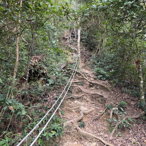 20251108_石壁山（雲林小百岳）2941463