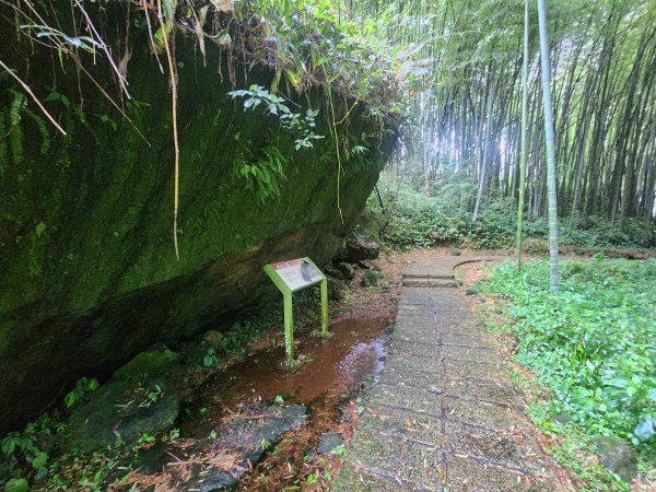 20250719頂湖上大凍山2907158