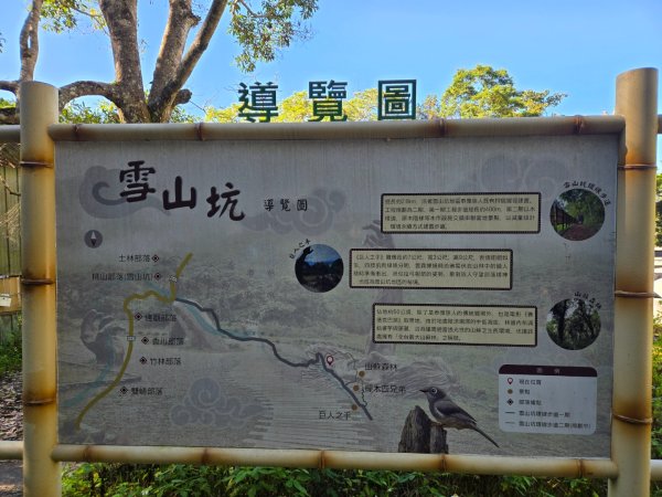 雪山坑登山步道~巨人之手2948713