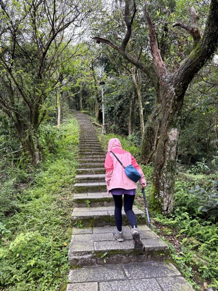 汐止大尖山-202503172770523