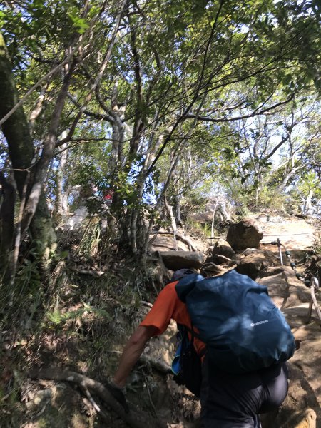 五寮尖山-龍山巖步道-阿屘尖山O型1307379