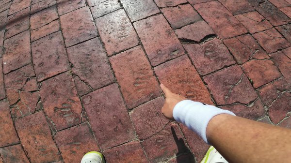 高雄 大社觀音山2960483