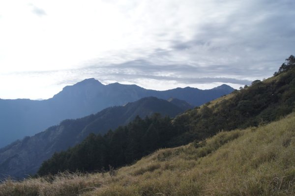 合歡東峰_2025/03/292782365