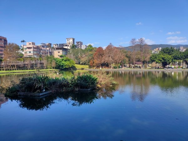 內湖o形4連峰（白鷺鷥山+鯉魚山東峰+鯉魚山+忠勇山）（2/13）2429602