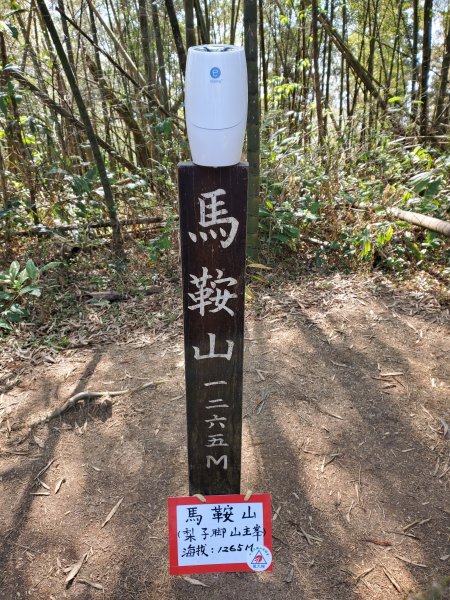 勇闖雲嘉五連峰821336