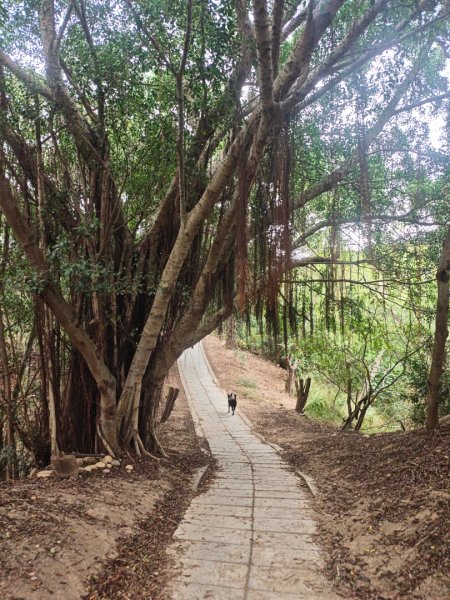 大肚萬里長城11年前的今天2926966