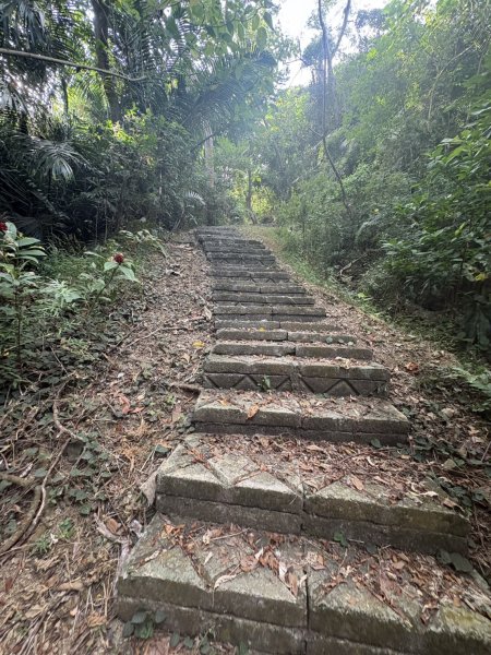 20251101烏山縱走北段 雲山寺至刣牛湖山(途經風空子山.孟璋山.烏山.刣牛湖山北峰)2928755