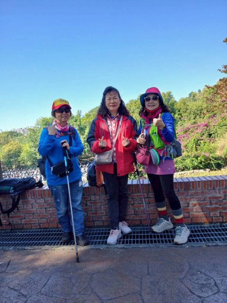 【臺中必訪步道】大坑9、10號步道  【小百岳集起來】#42 南觀音山3009538