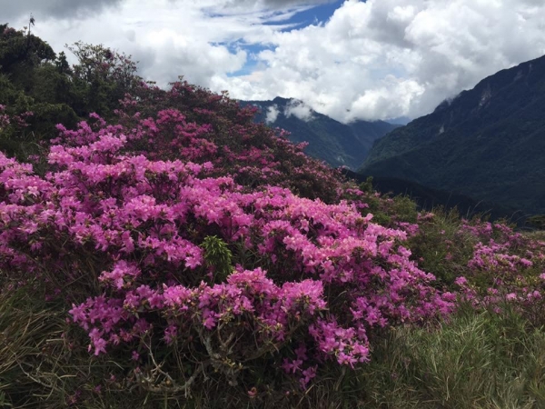 合歡北峰的驚艶