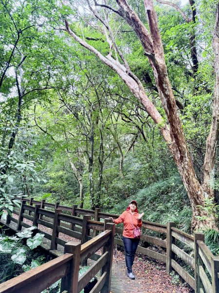 雙流帽子山悠遊  2025.01.032688544