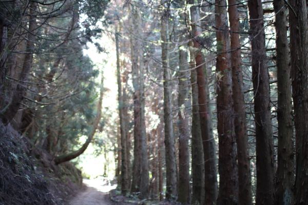 合歡溪步道健行174452