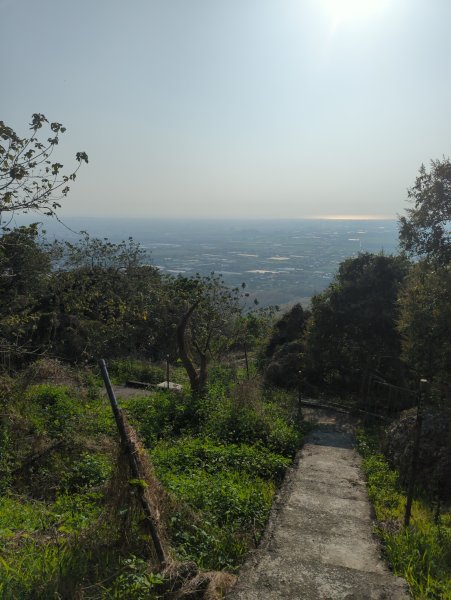 2025.03.24－大崗山2746343