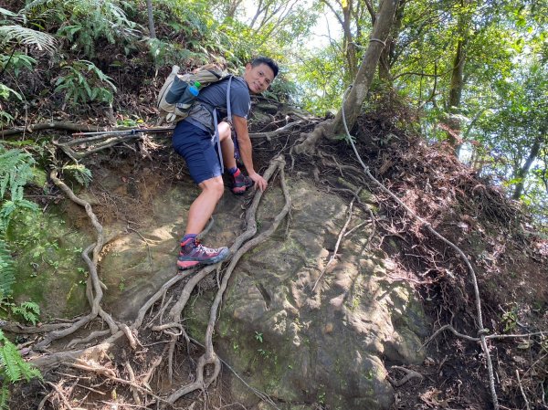 金面山.金山面山.十三份山.山麻坑山【暗藏玄機 不容你小覷的郊山縱走】2384858