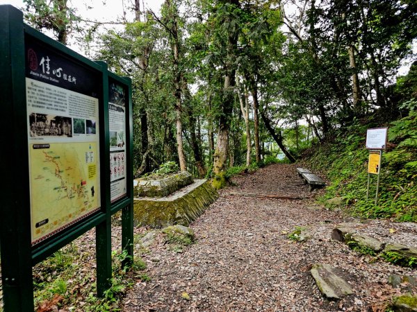 瓦拉米步道(登山口至佳心段)-(花蓮)臺灣百大必訪步道2789428